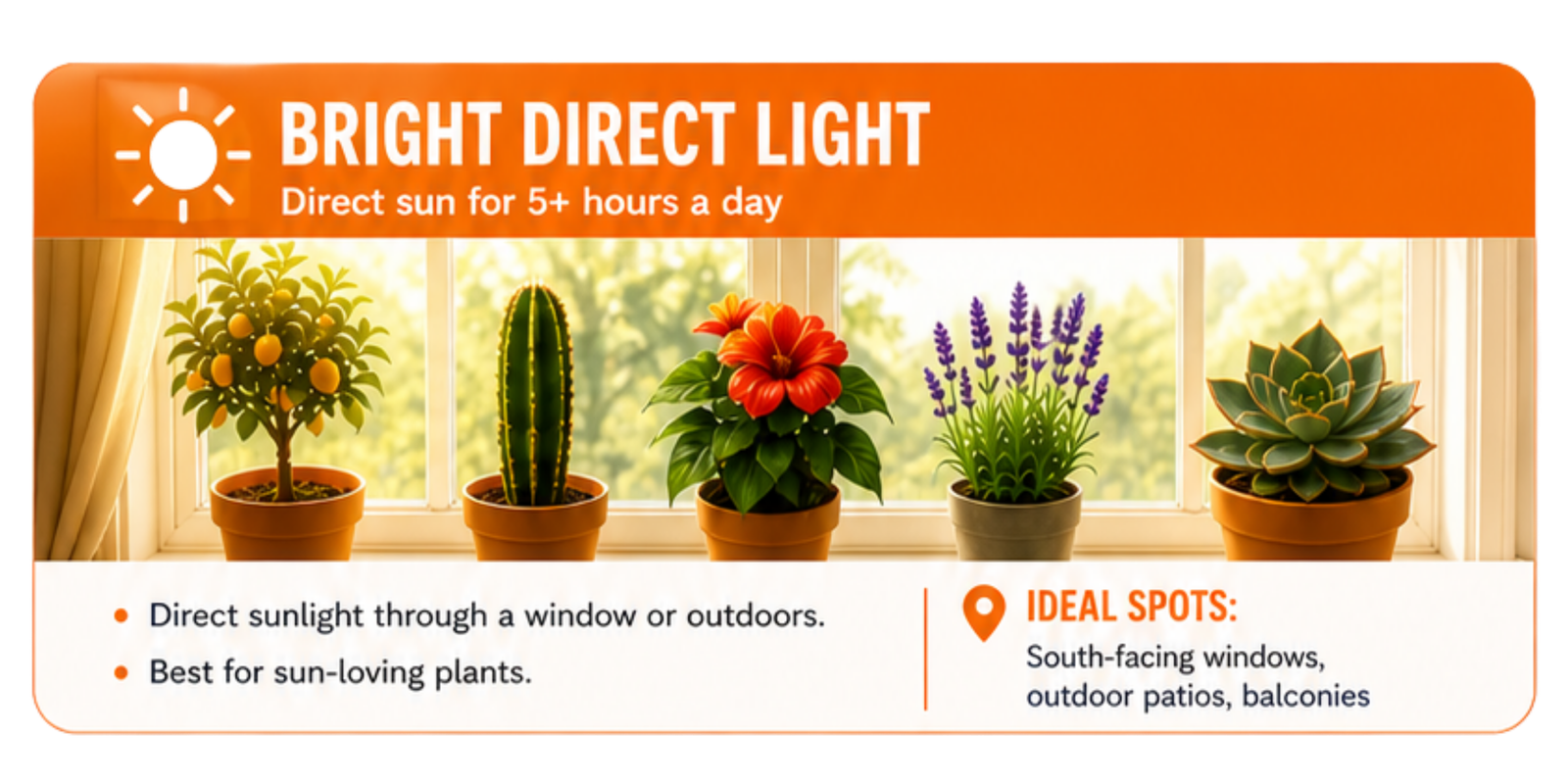 Bright Direct Light