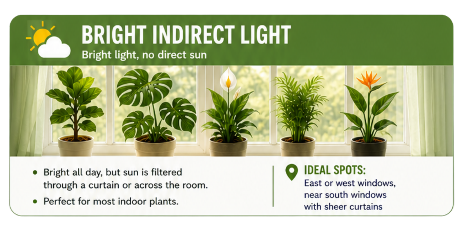 Bright Indirect Light