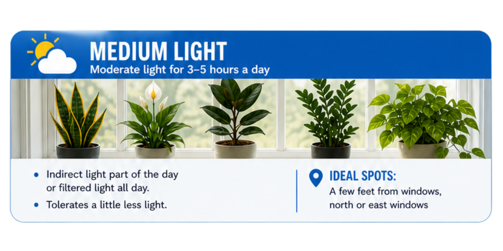 Medium Light
